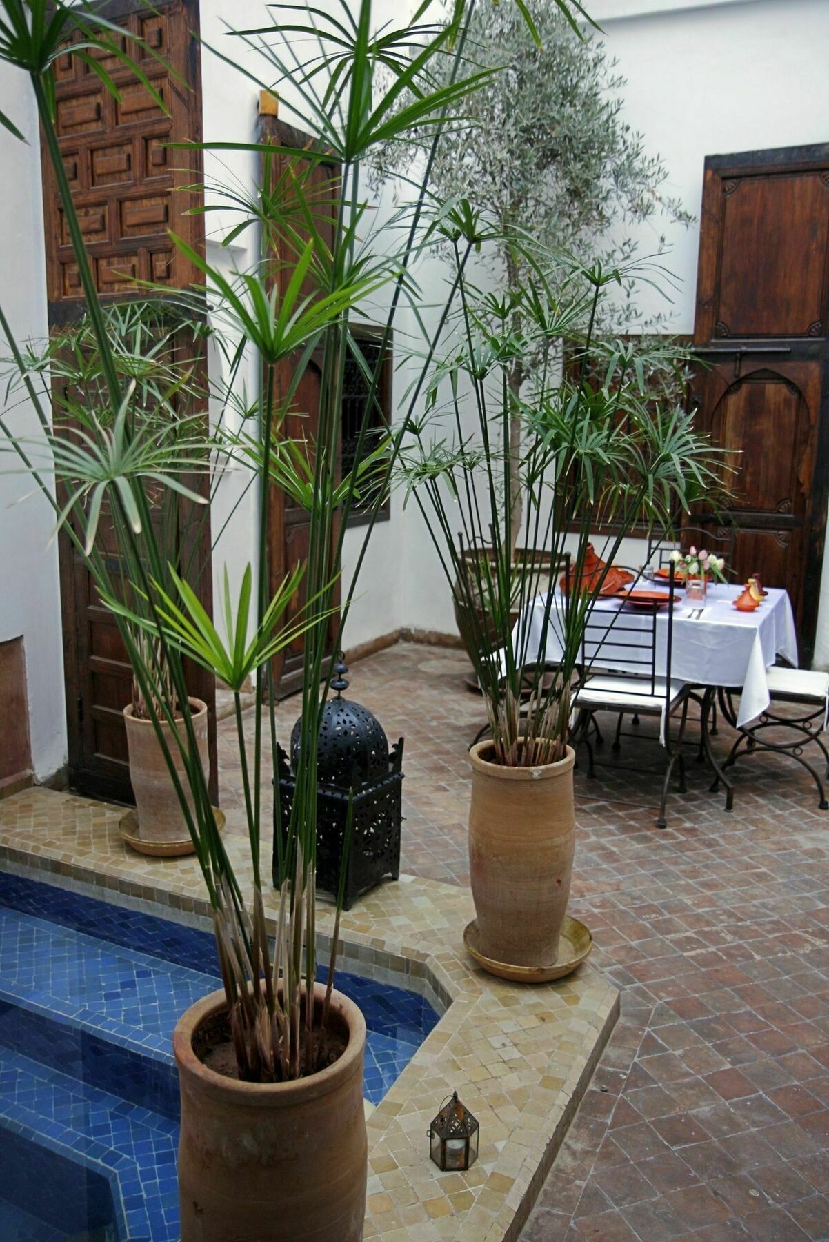 Riad Elixir Marrakesh Exterior foto